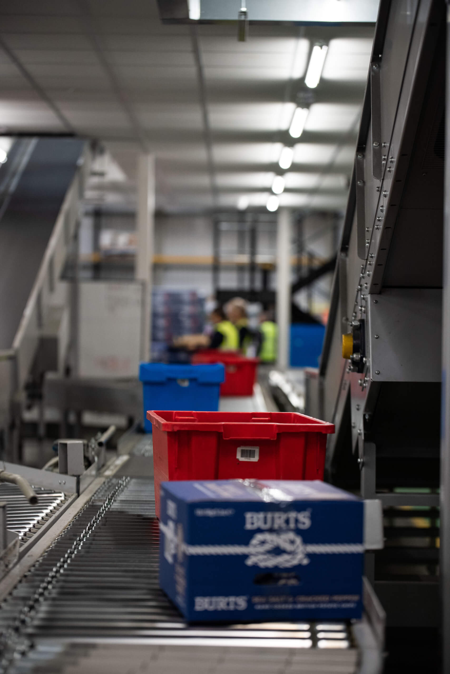 warehouse-sorting-line-onsite-in-smylies-warehouse